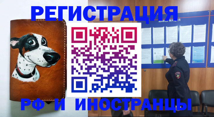 временная регистрация законно в Борзе